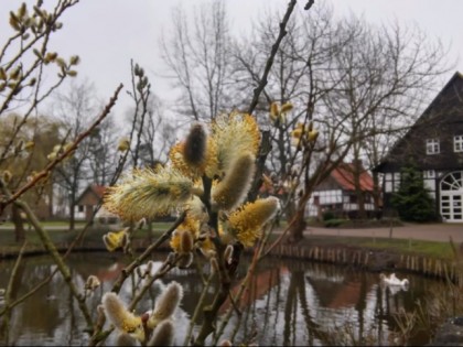 Foto: Das gastliche Dorf